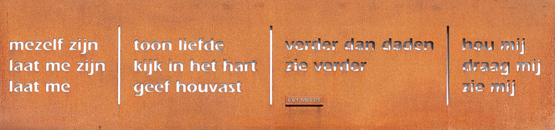 zorg aanvragen